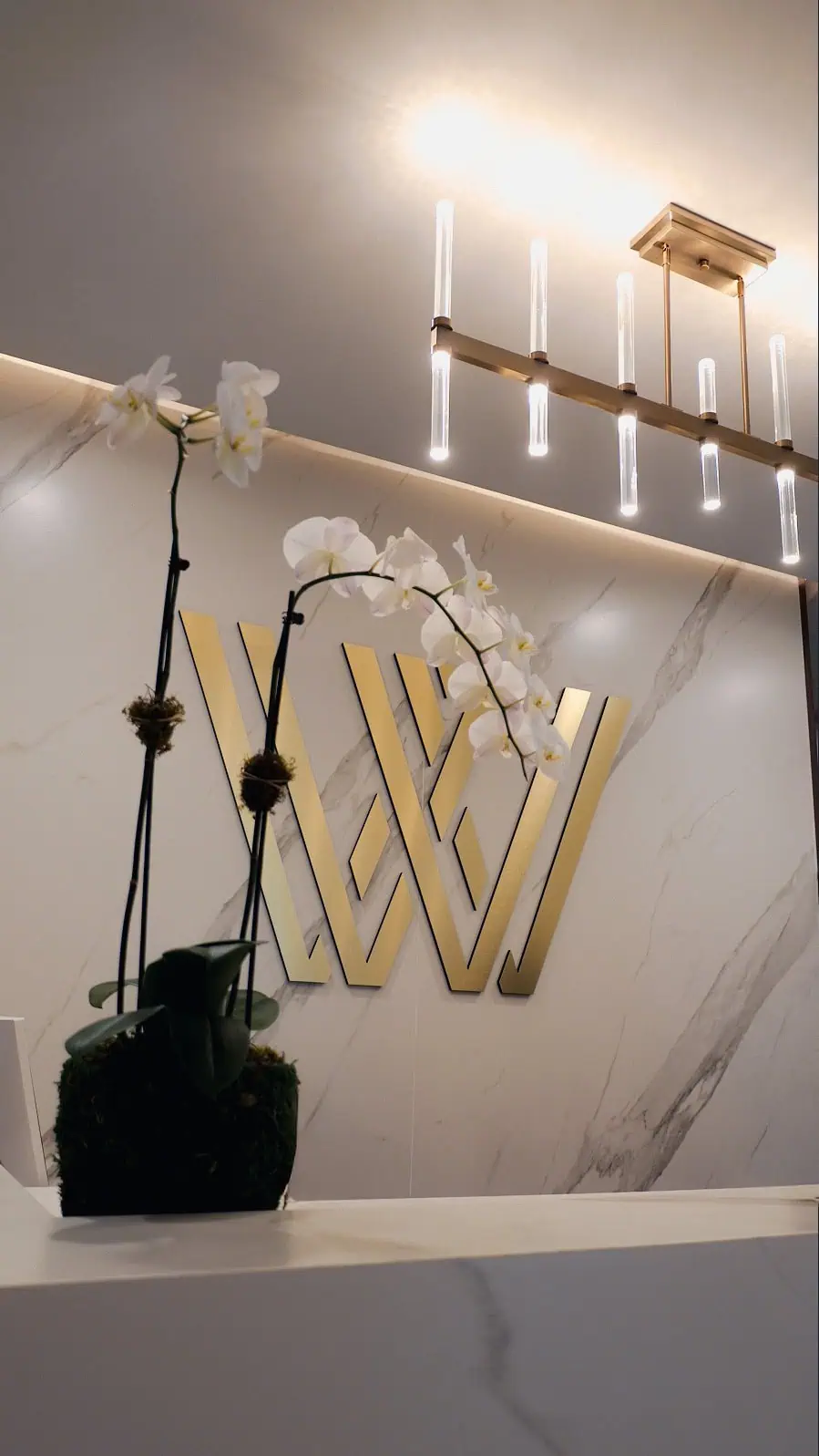 wp 6